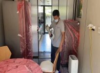 甲醛的危害及清除方法？